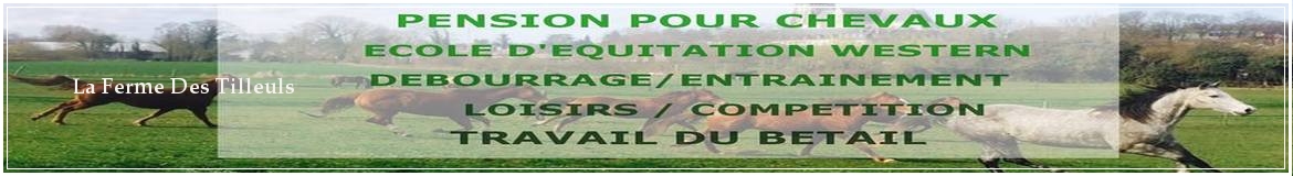 La Ferme Des Tilleuls